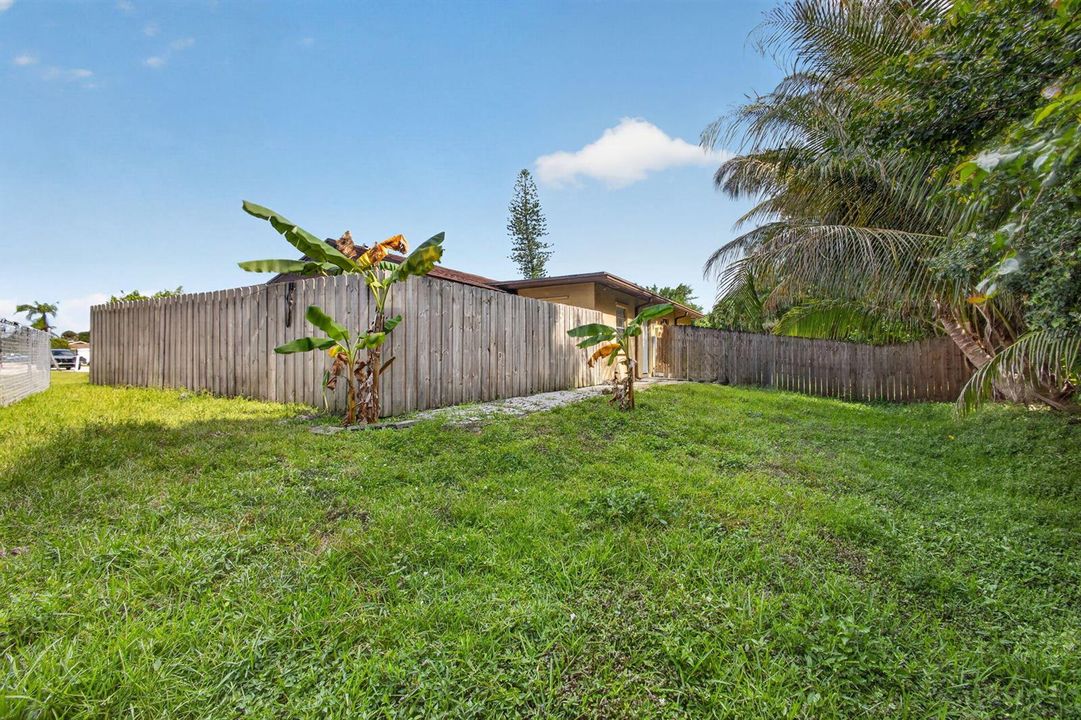 39-web-or-mls-5D1A1839