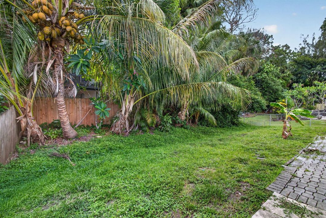 37-web-or-mls-5D1A1822