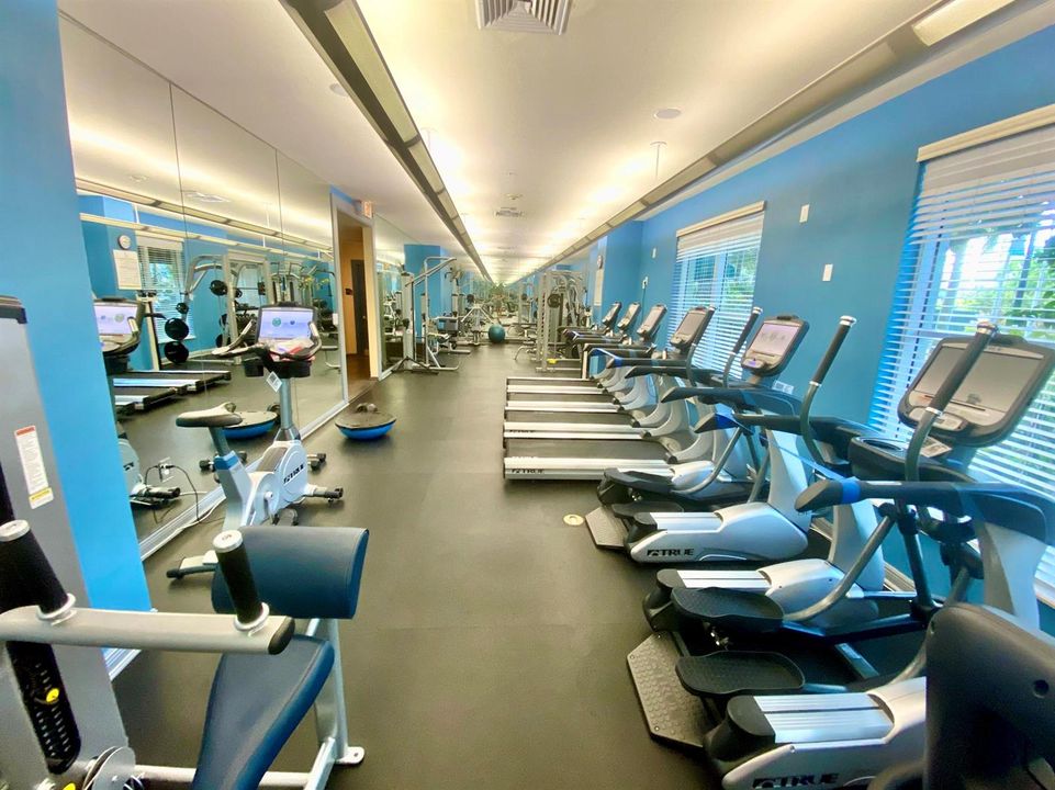 gym 2