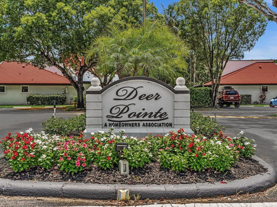 Deer Pointe