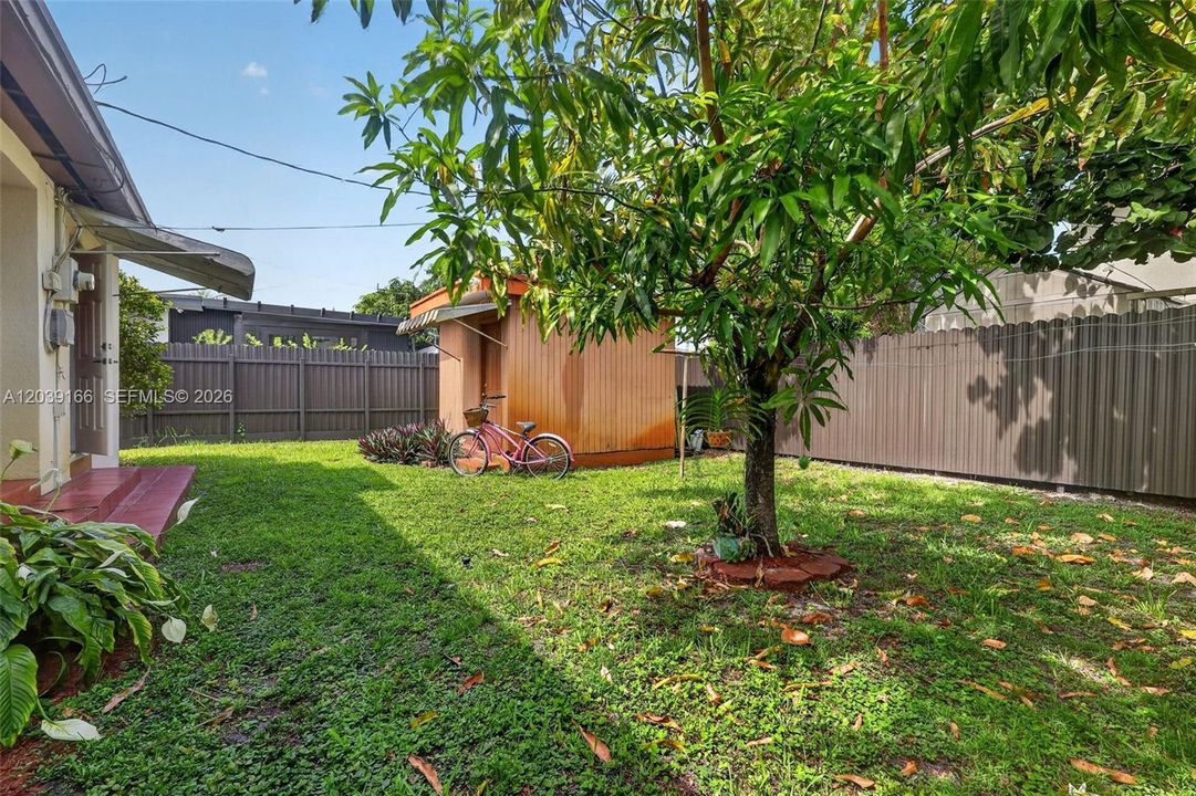 Enjoy the shade and beauty of mature fruit trees, including a productive mango tree, perfect for outdoor relaxation and adding charm to the yard.