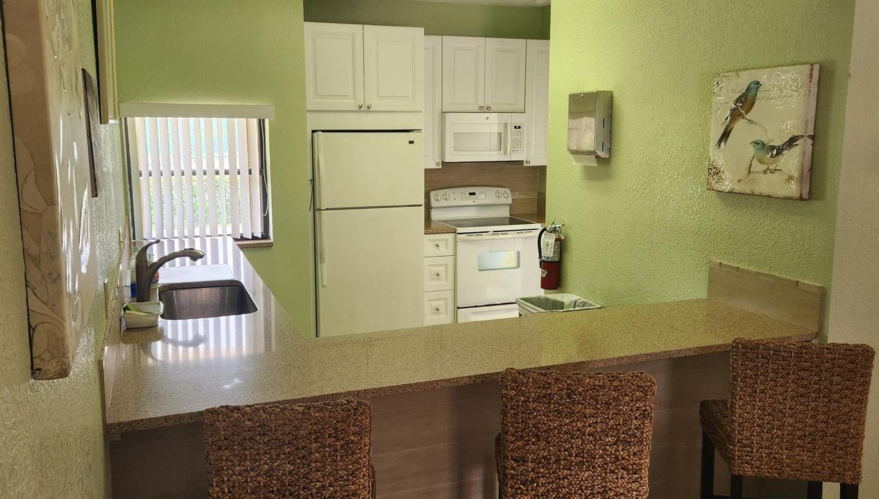 Clubhouse Kitchen 1