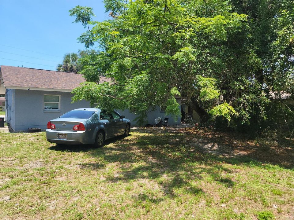 back yard 2130