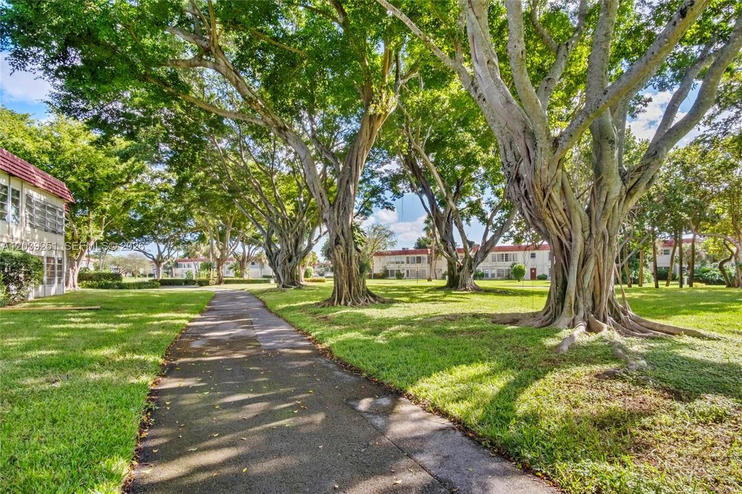 For Rent: $1,400 (1 beds, 1 baths, 610 Square Feet)