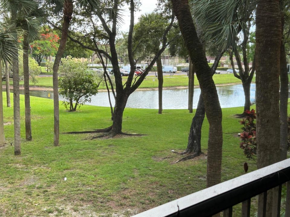 Balcony View