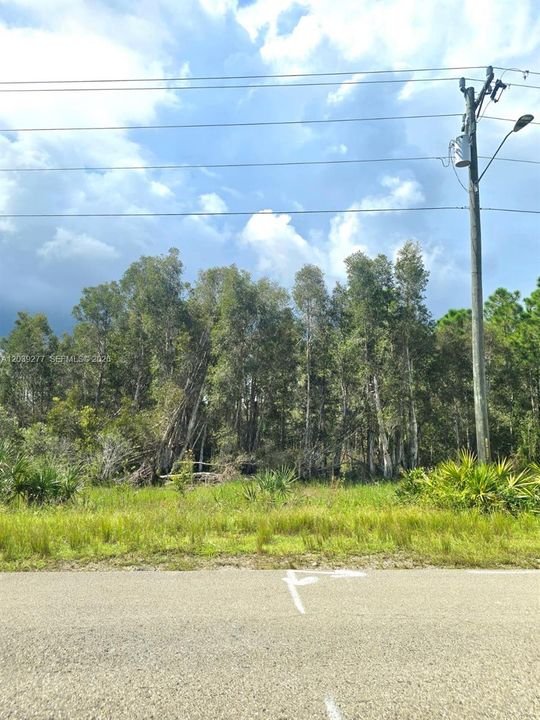 На продажу: $64,000 (0.20 acres)