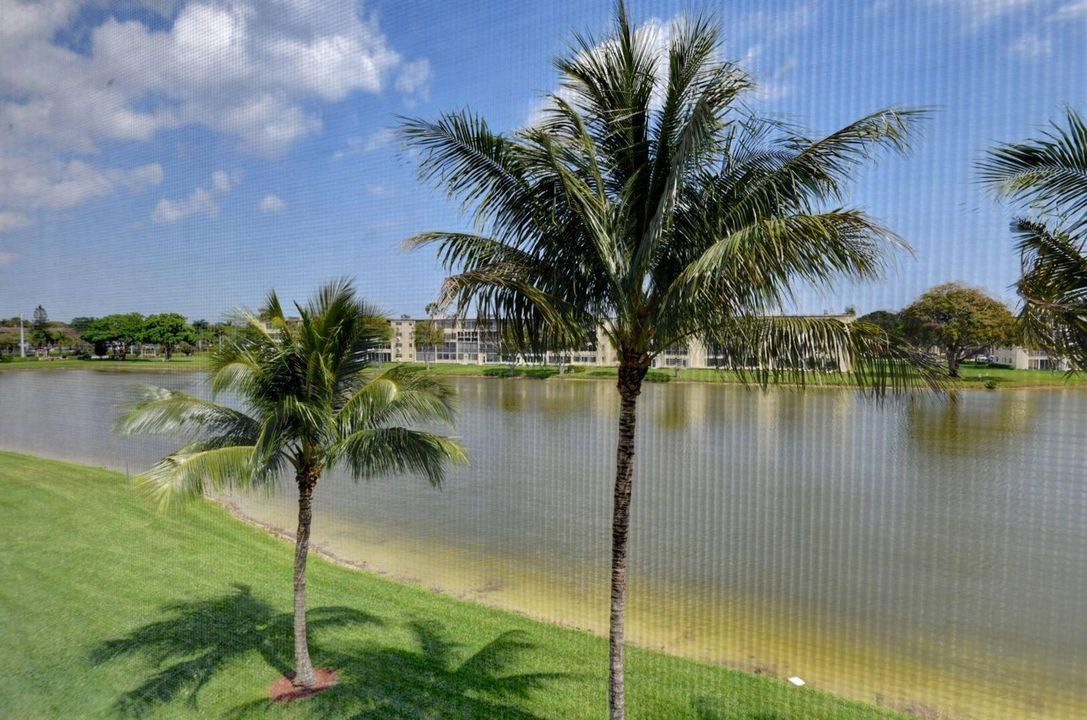 Magnificient Lake View