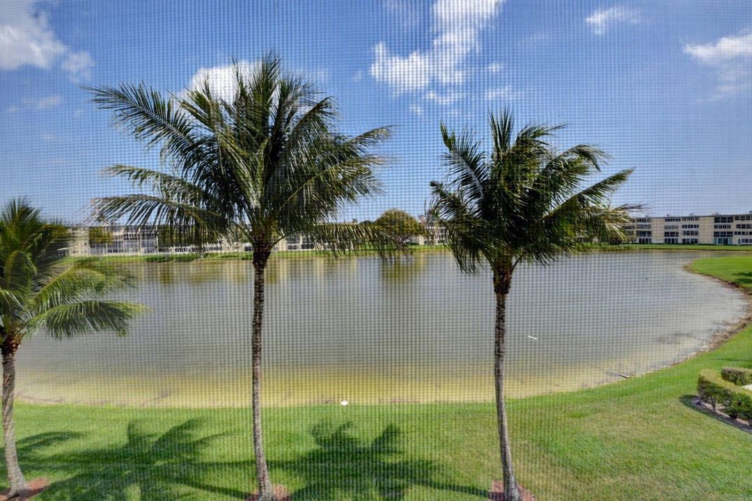 Magnificient Lake View