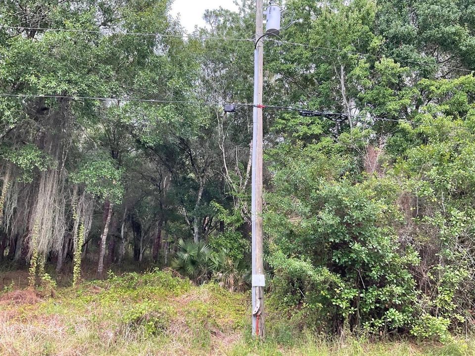 13550 NE 18th Ave pole on Property