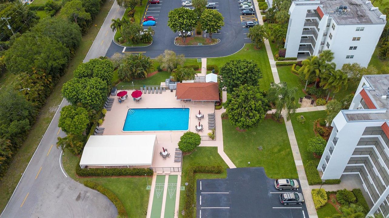 BIRDIE POOL