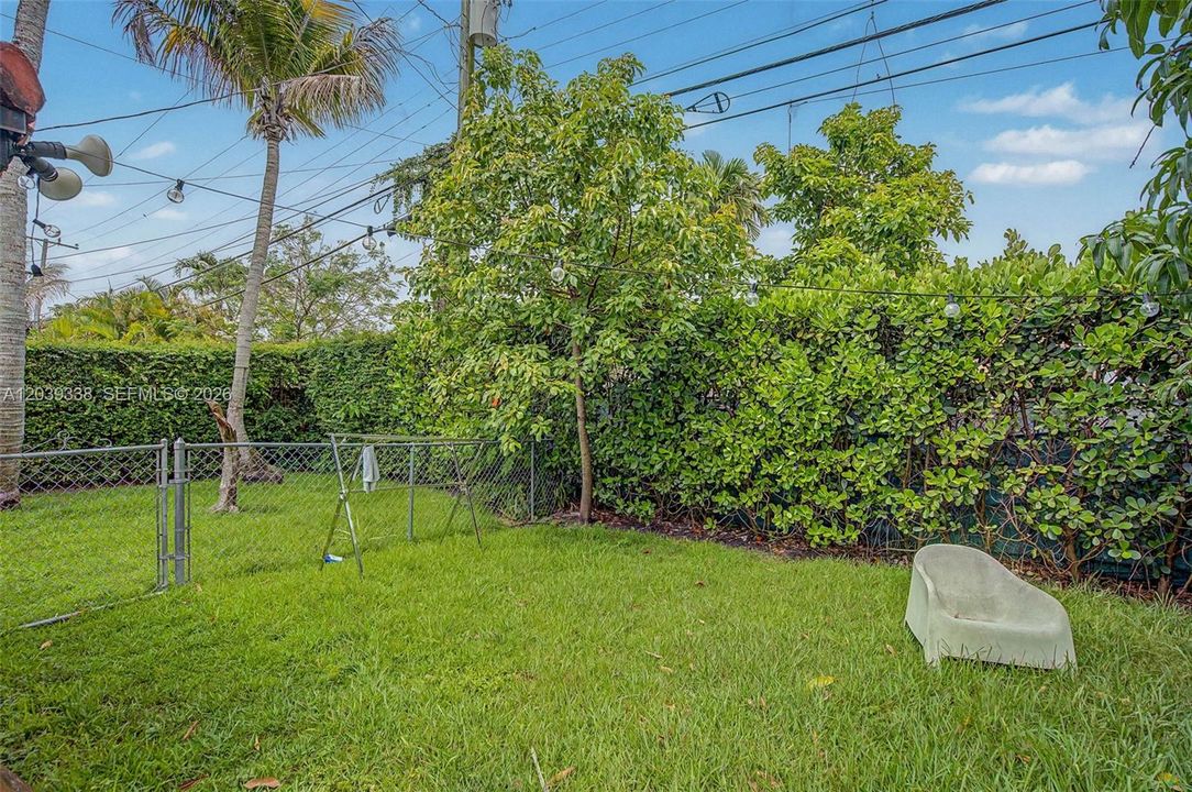 Actual Backyard