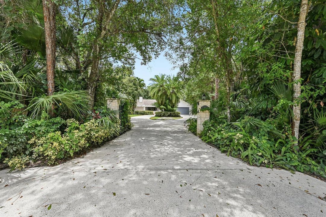 Driveway