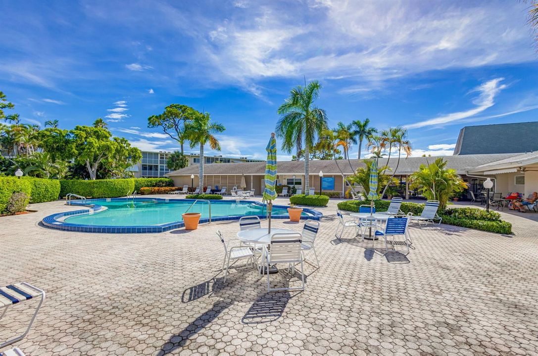 Primary Pool Deck