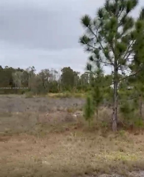 待售: $32,000 (0.23 acres)