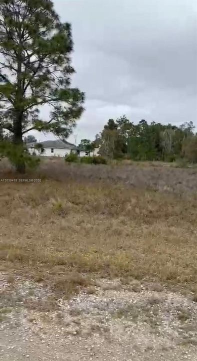 待售: $32,000 (0.23 acres)