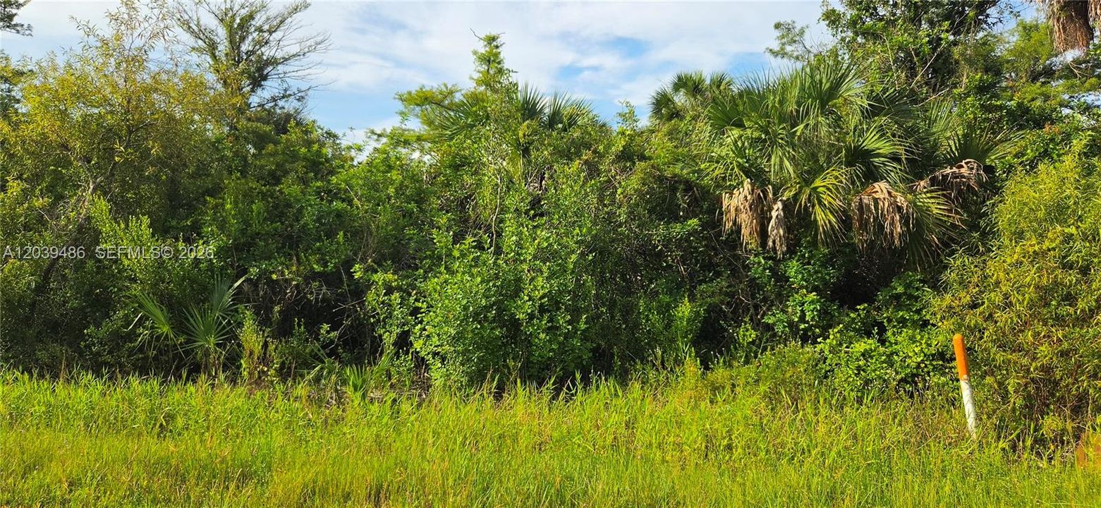 For Sale: $199,000 (2.73 acres)