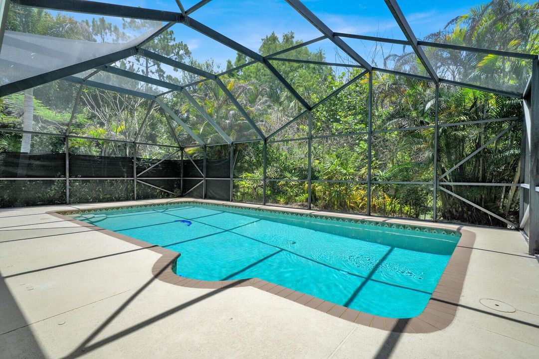 pool 12216