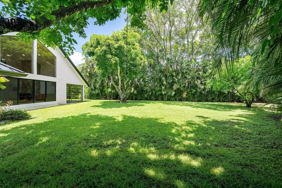 Amazing yard space
