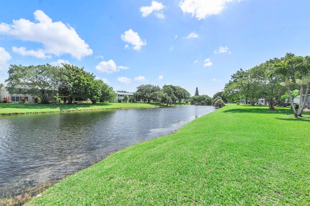 Canal in the back