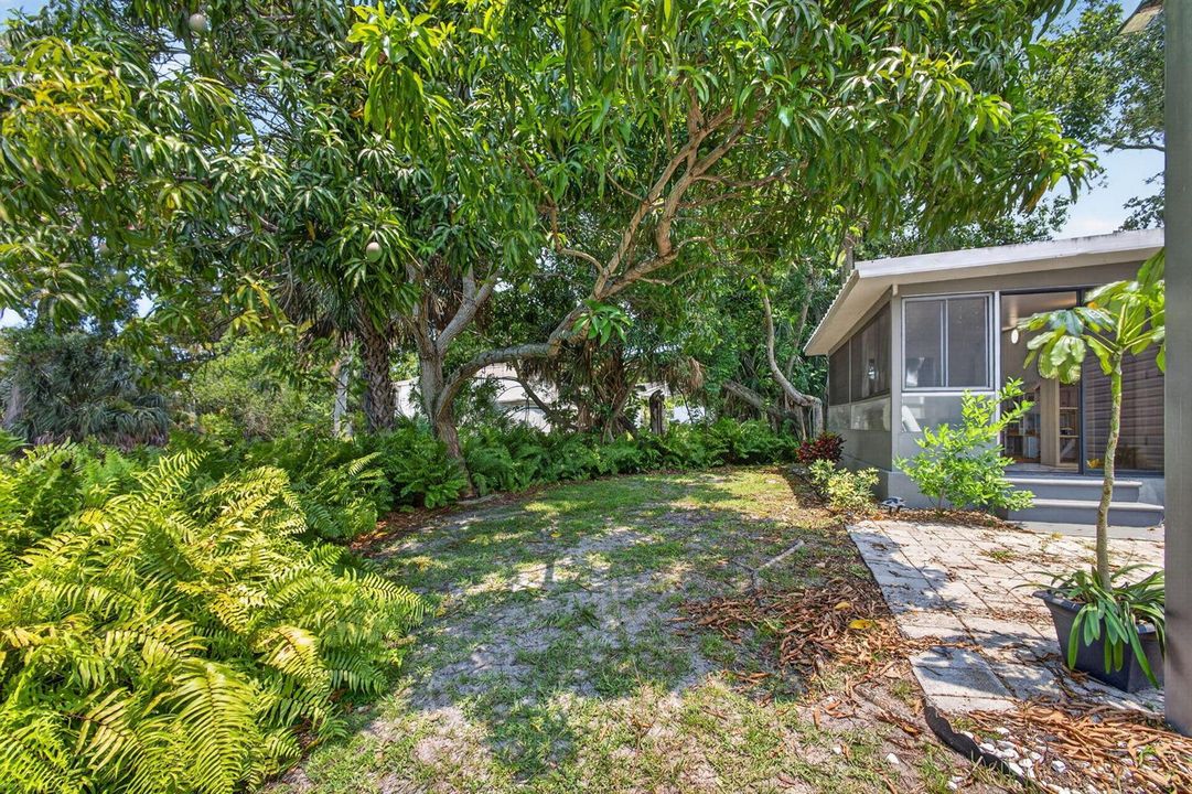44-web-or-mls-5D1A2817