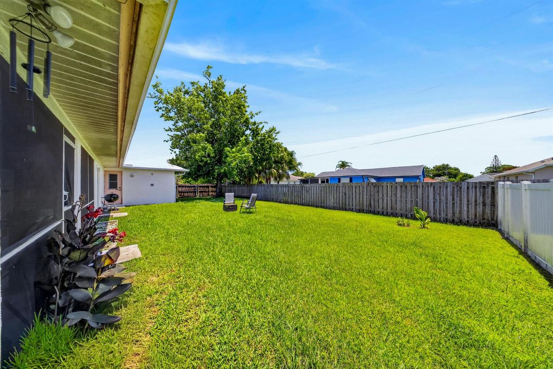 Back Yard
