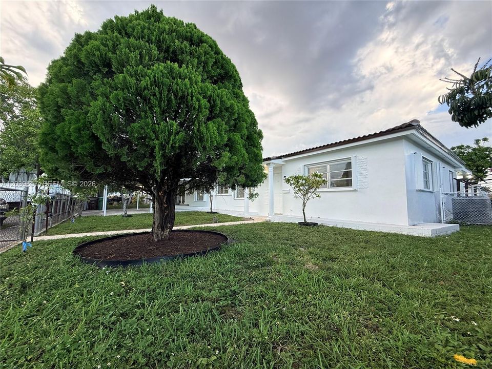 Large front yard