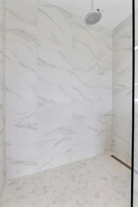 Primary Shower