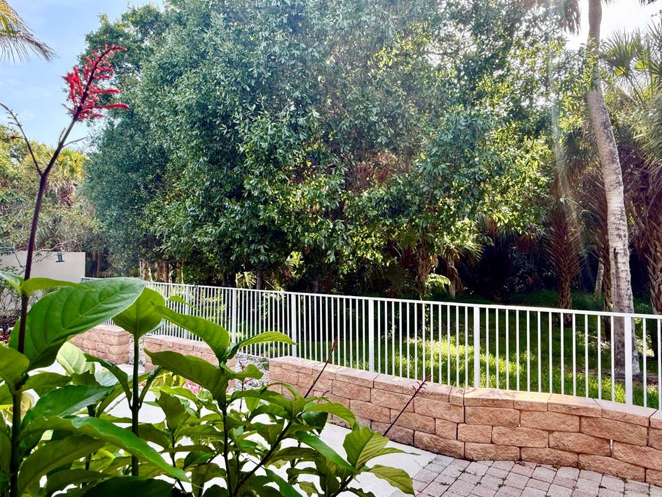 Patio Views to Preserve
