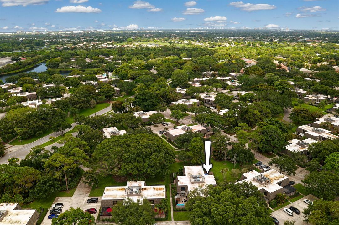 DJI_0460_DxO