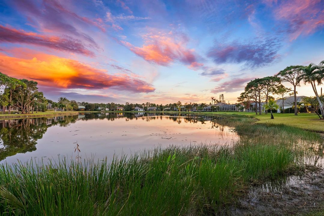 The Falls Lake views