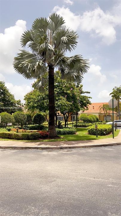 For Rent: $2,350 (1 beds, 1 baths, 650 Square Feet)