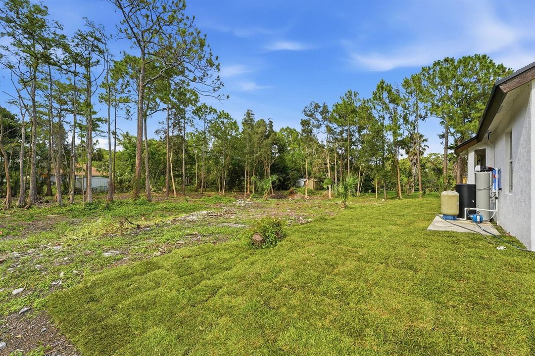 25-web-or-mls-DSC00661