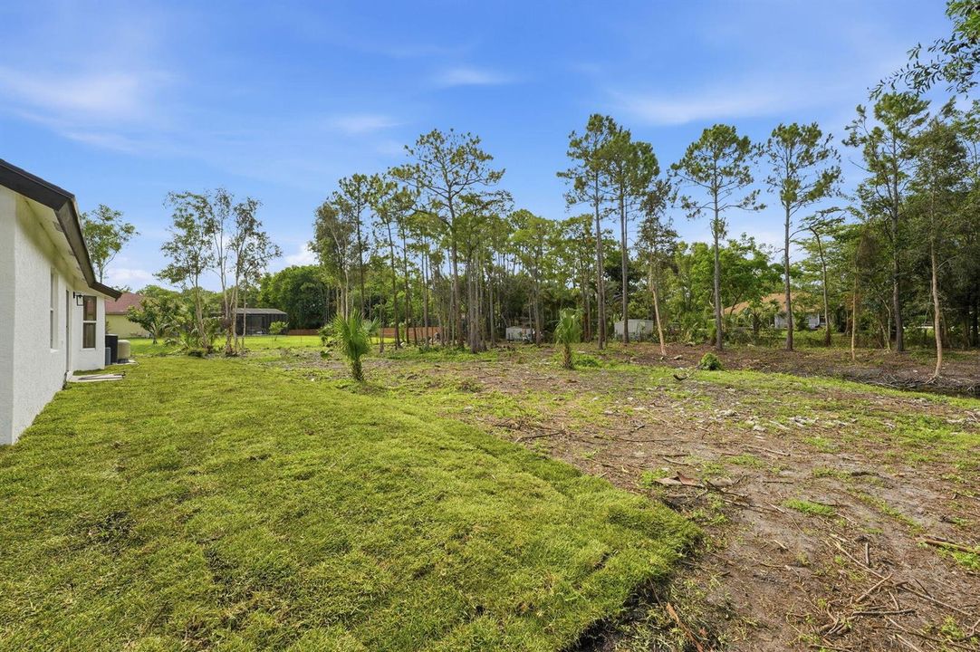 23-web-or-mls-DSC00655
