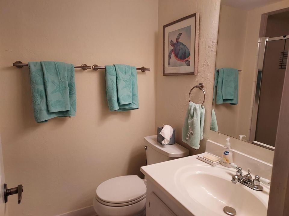 Guest bathroom