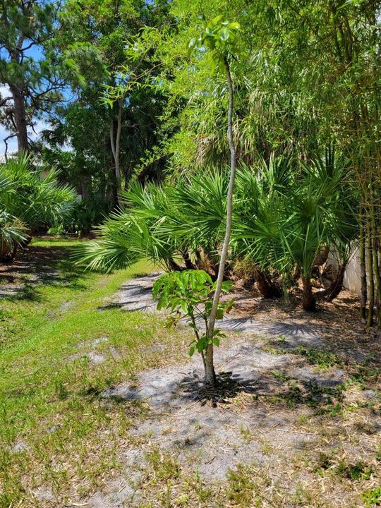 Lots of green lush landscaping,