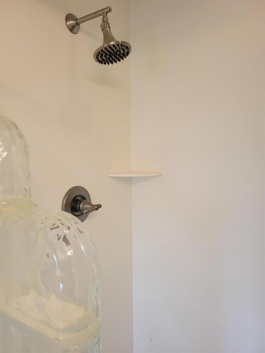 Master shower close up