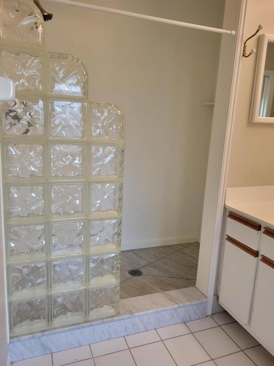 Master shower
