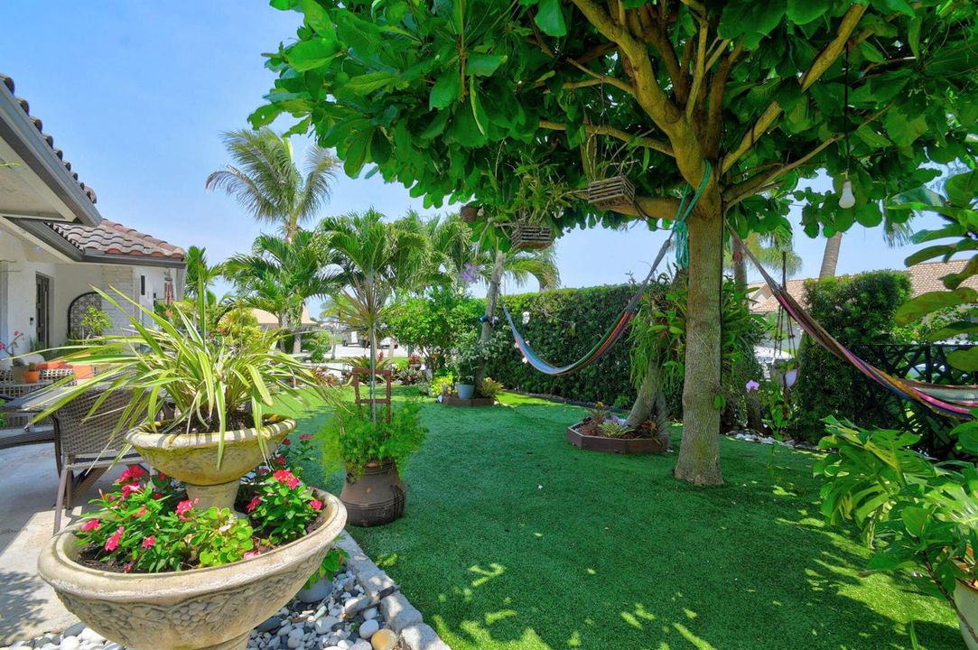 Front Yard