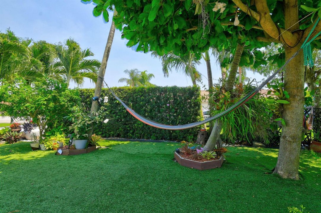 Front Yard