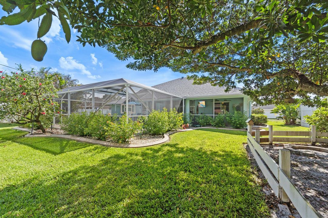 Oversized Lanai