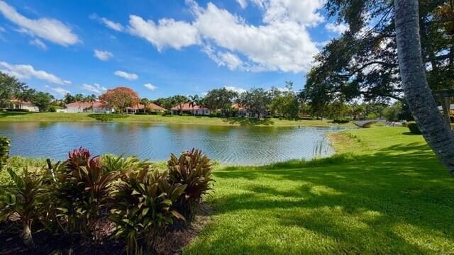 Lake view