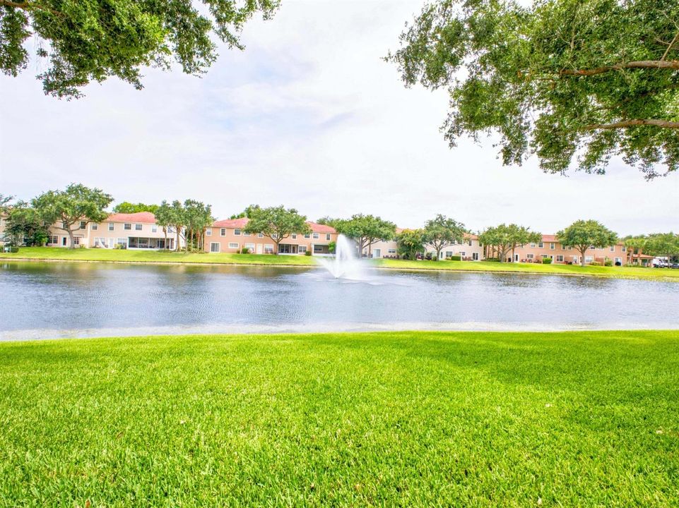 Waterfront View