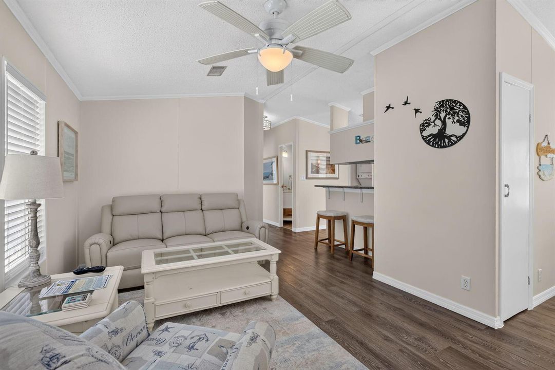 6-web-or-mls-5P1A9523