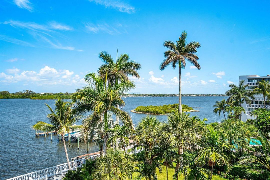 View from Balcony