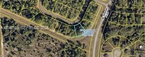 На продажу: $25,900 (0.33 acres)