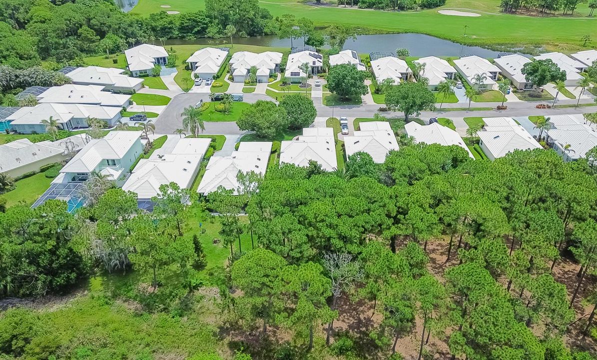 DJI_0783