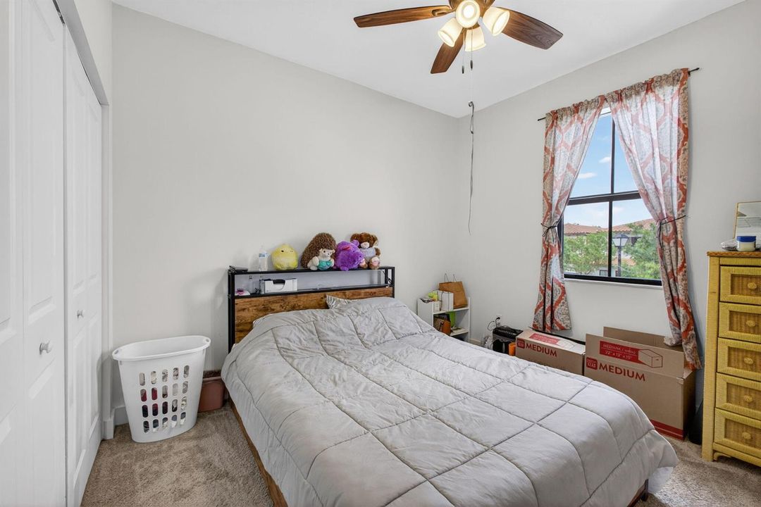 28-web-or-mls-5D1A6641