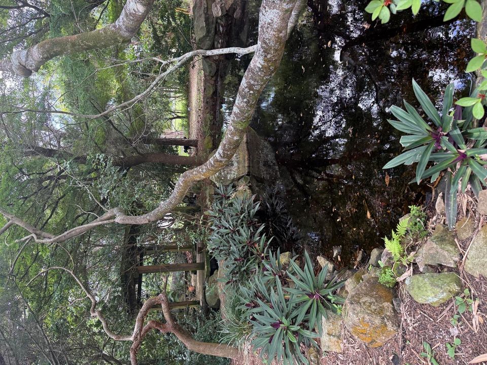 Pond 3