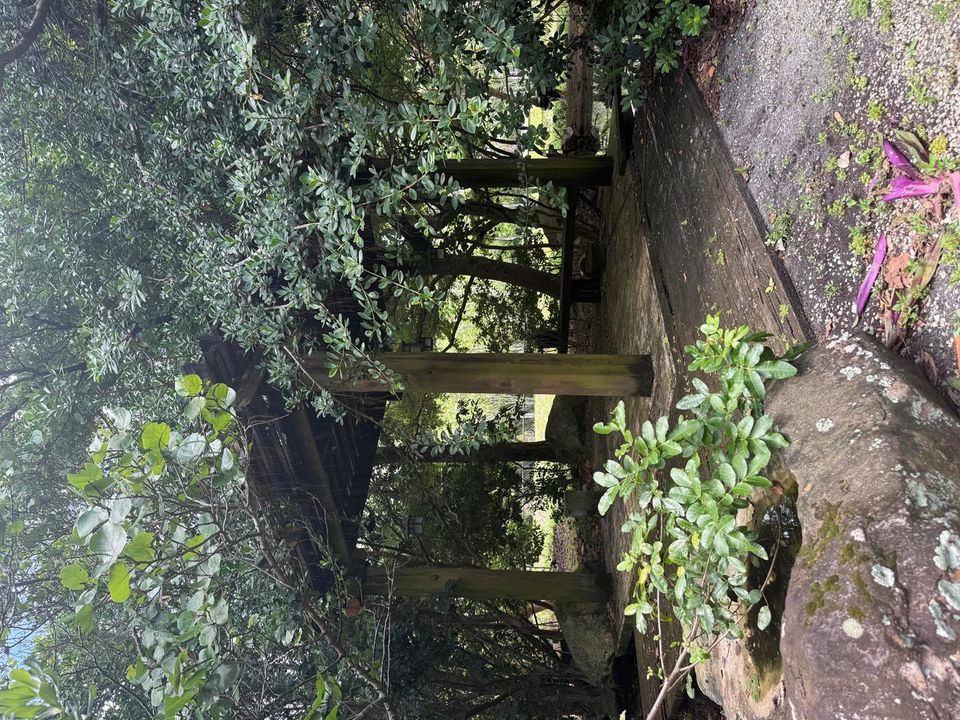Pond 2