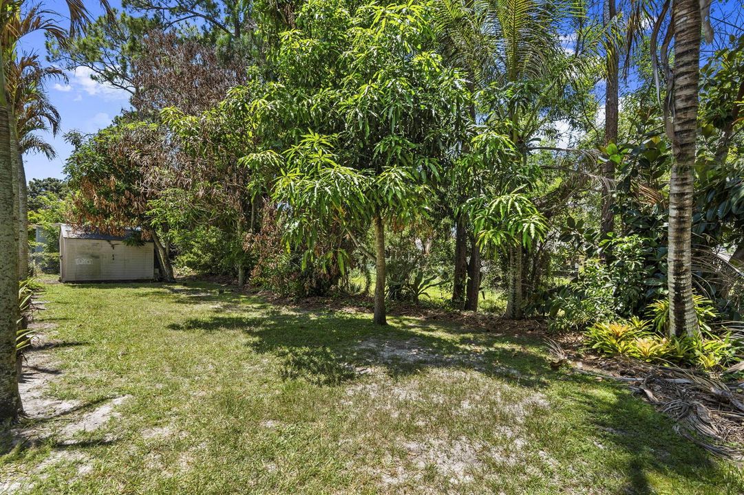 39-web-or-mls-DSC04371